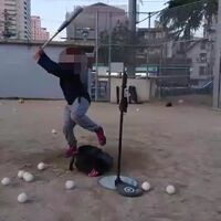 画像1384