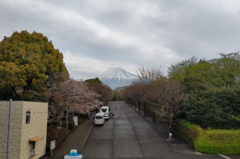 富士総合運動公園野球場