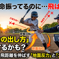 画像2280